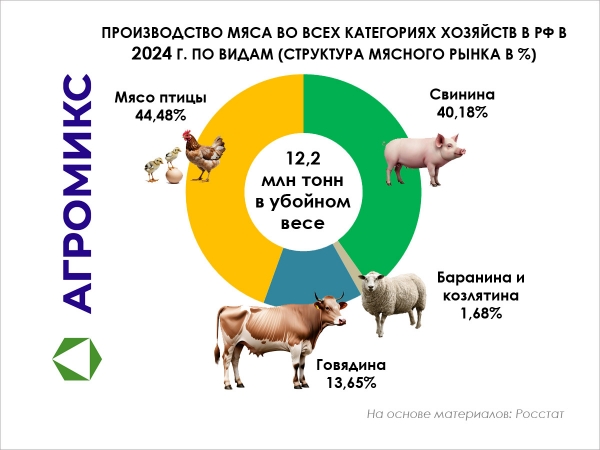 Структура производства мяса по основным видам в России в 2024 году, во всех категориях хозяйств
