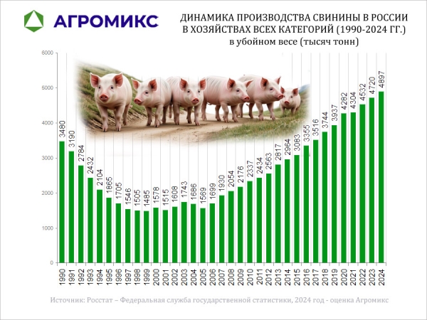 Динамика: Объём производства свинины в СССР и России по годам, включая 1990-1995-2000-2005-2010-2015-2020-2024 год