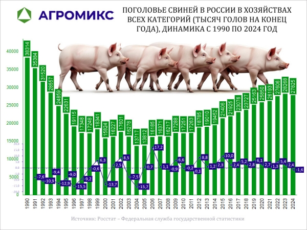 Поголовье свиней в СССР и России в хозяйствах всех категорий с 1990 по 2024 год, тысяч голов на конец года