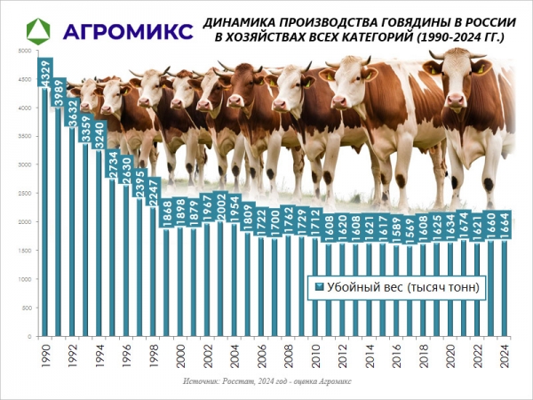 Динамика: Объём производства говядины в СССР и России по годам, включая 1990-1995-2000-2005-2010-2015-2020-2024 год