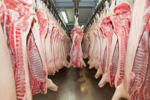 Цены на свинину и живок в Центральном федеральном округе продолжают стремительно падать