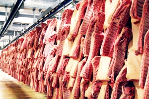 Экспорт российской свинины может составить 230 тысяч тонн в 2023 году