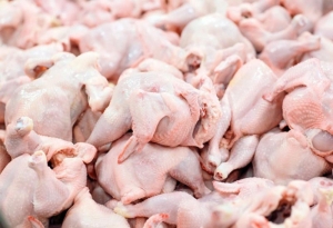 С 1 января 2024 года отменят пошлину на импорт куриного мяса в РФ