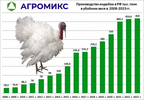 Диаграмма: Динамика производства мяса индейки в России с 2008 года по 2023 год