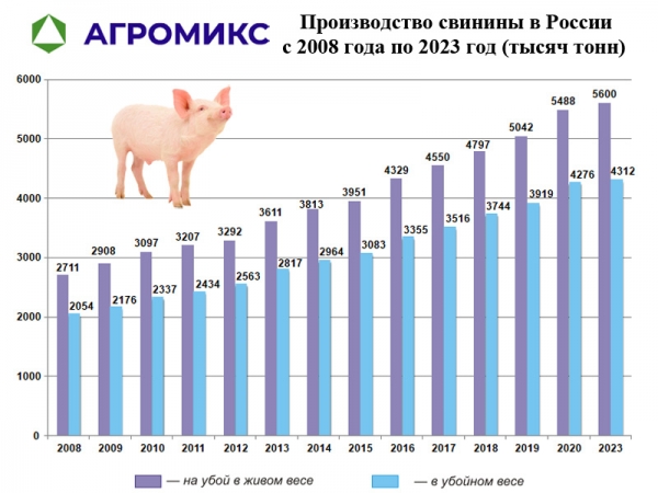 Диаграмма: Динамика производства мяса свинины в России с 2008 года по 2023 год