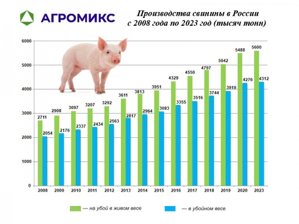 Объём производство свинины в России по годам