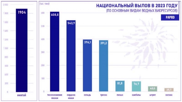 Сколько рыбы выловили российские рыбаки в 2023 году, распределение добычи по основным видам