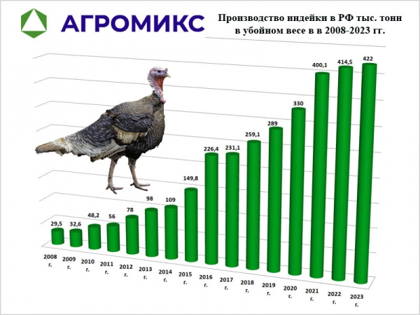 Производства мяса индейки в России по итогам 2023 года