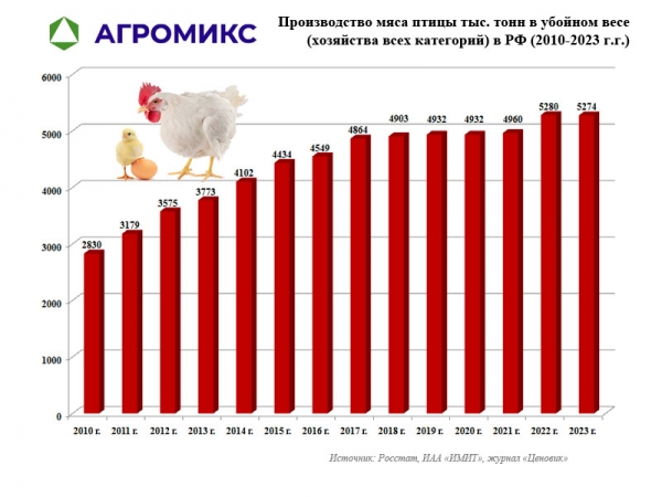Динамика производства курицы в России по годам, включая 2023 год