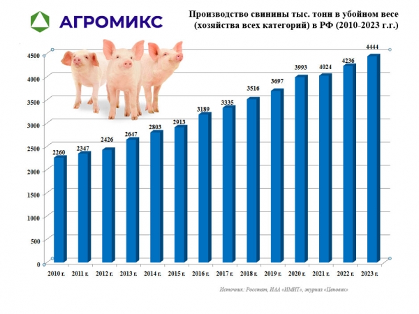 Динамика производства свинины в России по годам, включая 2023 год