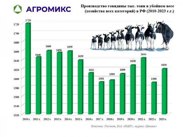 Динамика производства говядины в России по годам, включая 2023 год