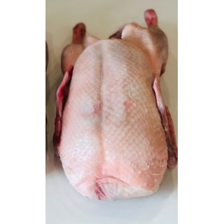 Тушка утки потрошёная, 1 сорт, ГОСТ, 2.4 кг, «Кимовская птицефабрика», Марий Эл - фото - 10