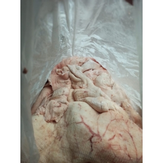 Замороженный свиной шпик боковой купить оптом в Москве по ценам производителя ООО «Мясной Двор»