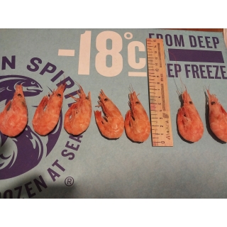 Замороженные северные креветки варено-мороженная 120 купить оптом от производителя из Мурманска