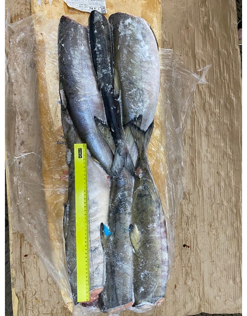 Кета ПБГ свежемороженая купить оптом рыбу в Москве по ценам производителя из Камчатского края