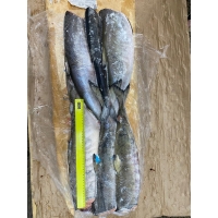 Кета ПБГ свежемороженая купить оптом рыбу в Москве по ценам производителя из Камчатского края