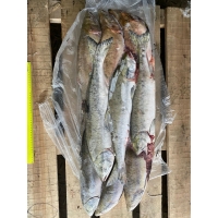 Горбуша НР блочной заморозки купить рыбу оптом в Москве по ценам производителя из Камчатского края