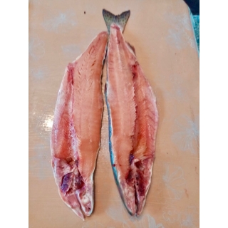 Горбуша ПСГ блочной заморозки купить рыбу оптом в Москве по ценам производителя из Камчатского края