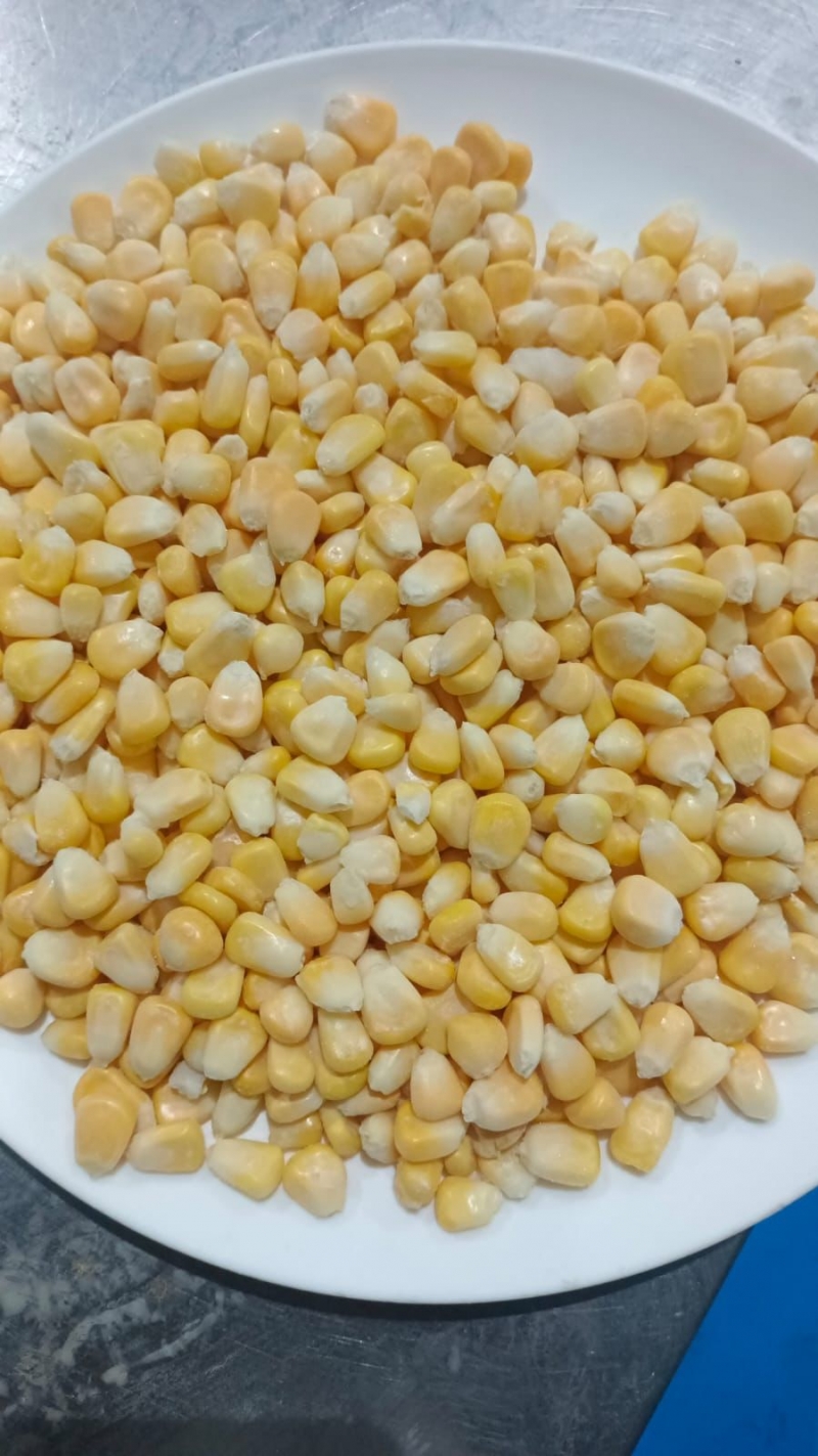 Замороженные зёрна сладкой кукурузы купить оптом, цена