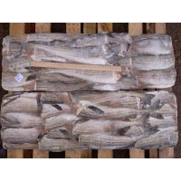 Замороженный минтай без головы 30-35 см купить рыбу оптом в Москве по ценам производителя с Камчатки