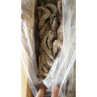 Замороженная креветка блочная 60-70 штук в кг от производителя из Ирана купить оптом в Москве