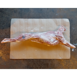 Фермерское мясо молодого козлёнка в тушах (козлятина) купить оптом в Москве по ценам производителя