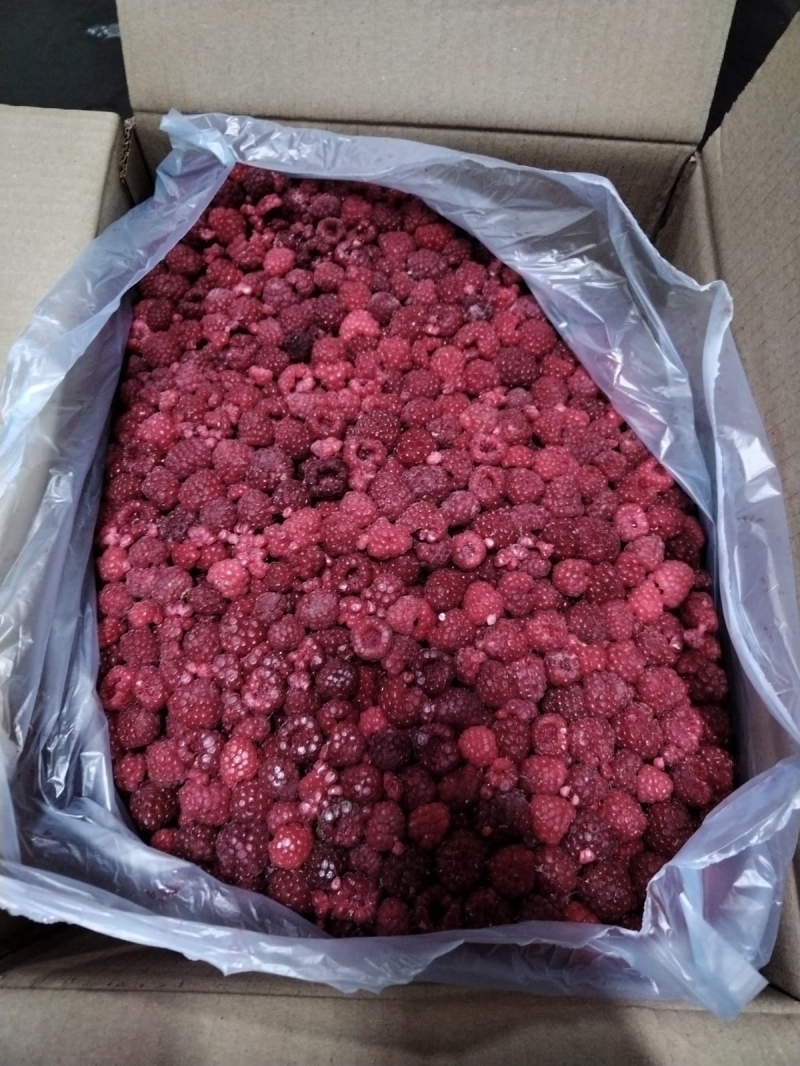  Замороженная малина от производителя «Фрагария» купить оптом в Москве по привлекательной цене