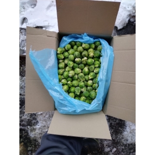 Весовая замороженная брюссельская капуста купить овощи мелким оптом в Москве по цене производителя
