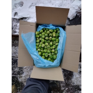 Весовая замороженная брюссельская капуста купить овощи мелким оптом в Москве по цене производителя