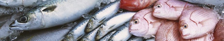 Рыба и морепродукты оптом