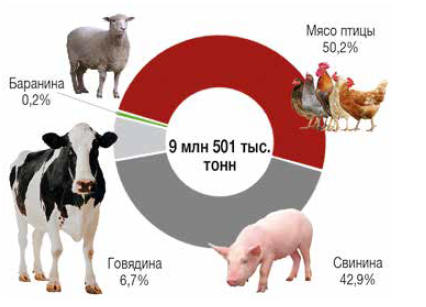 Производство мяса по основных видам в сельхозорганизациях России в 2023 году