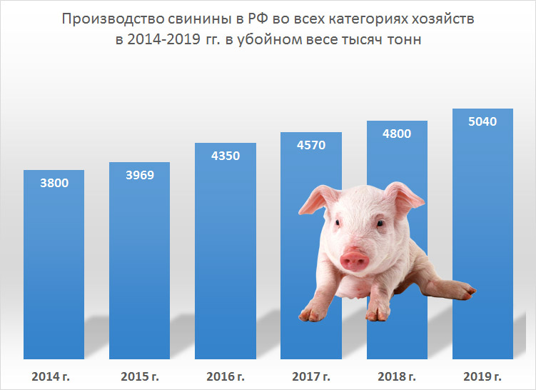 Производство свинины в Российской федерации по годам 2014-2015-2016-2017-2018-2019
