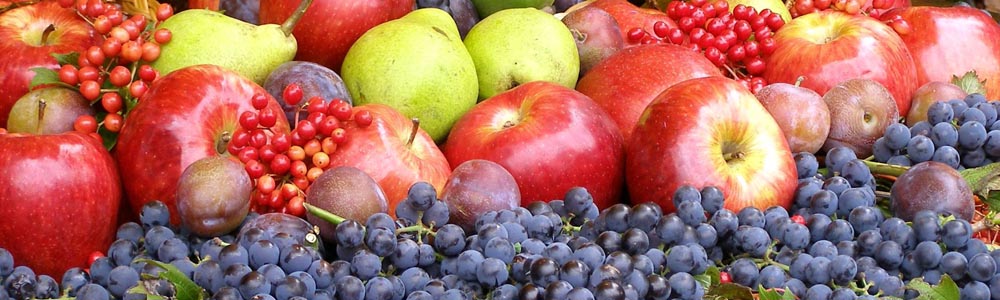 Российский рынок плодов: Аграрии в 2023 году собрали урожай 1,75 миллиона тонн фруктов и ягод